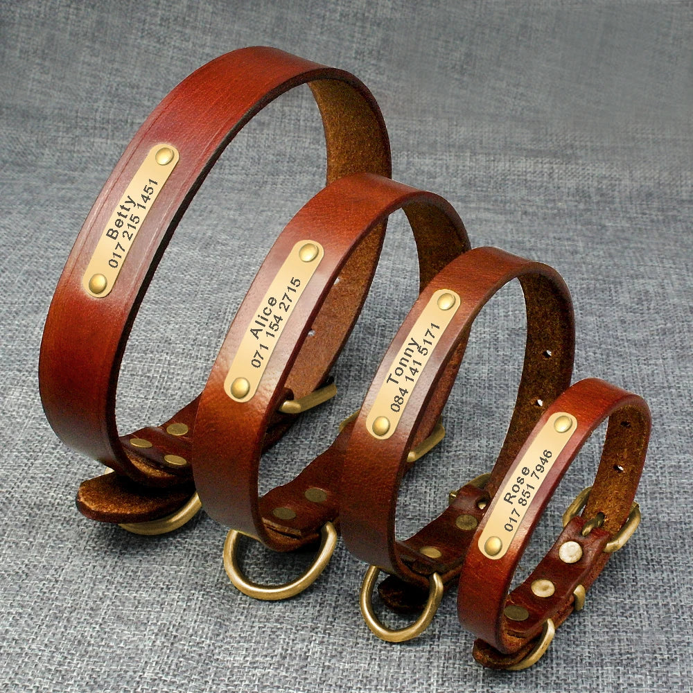 Custom Engraved Leather ID Collar for Small & Medium Pets