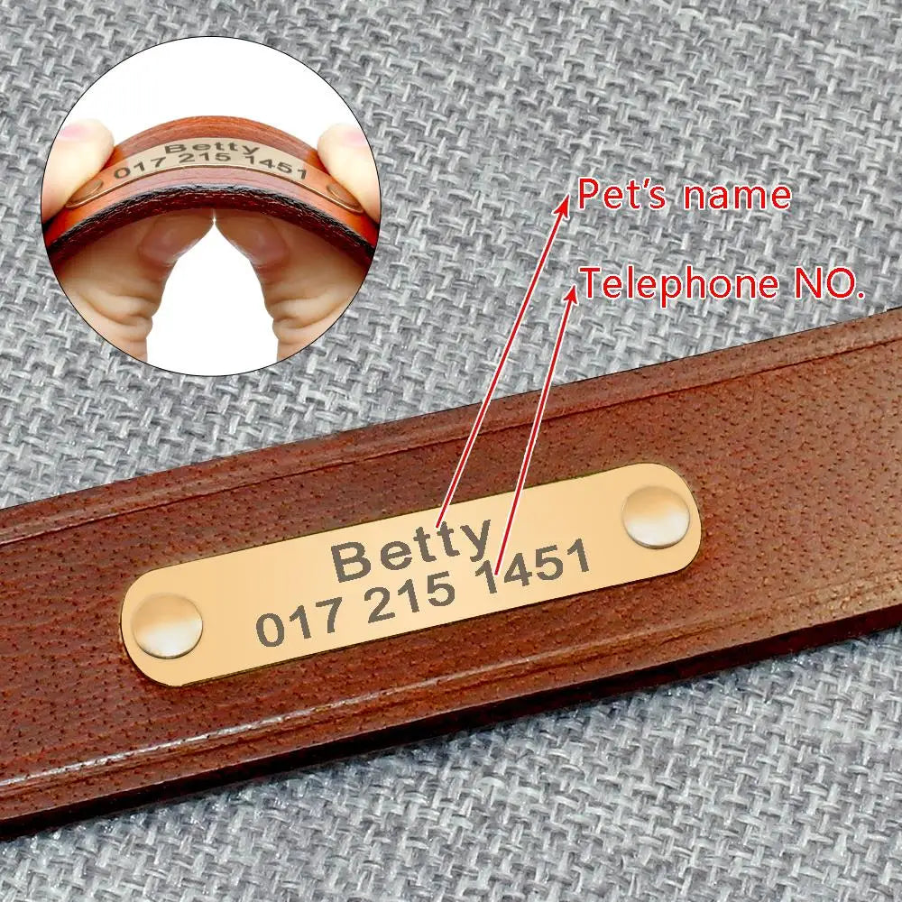 Custom Engraved Leather ID Collar for Small & Medium Pets