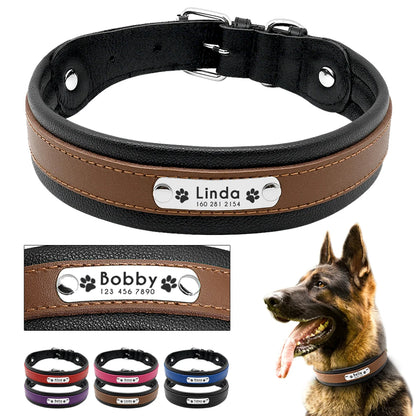 Personalized Padded Leather Collar for Medium & Large Dogs