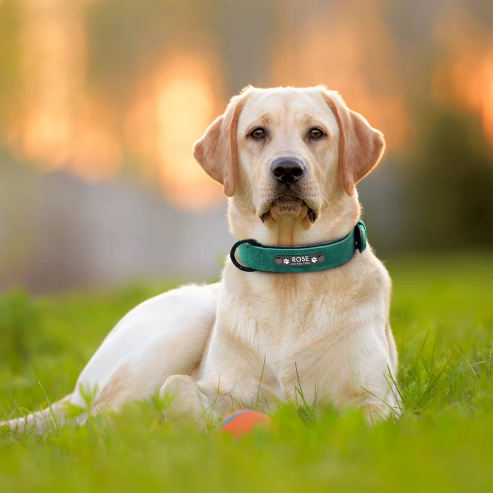 Personalized Leather Dog Collar: Custom Engraved Name ID Tag for Small, Medium & Large Dogs