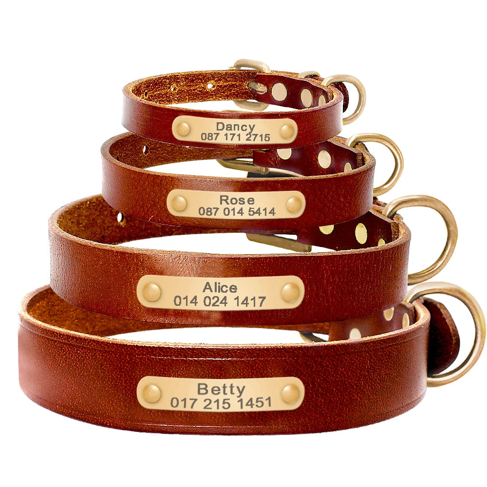 Custom Engraved Leather ID Collar for Small & Medium Pets