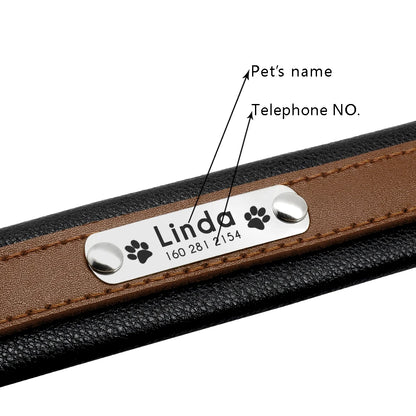 Personalized Padded Leather Collar for Medium & Large Dogs