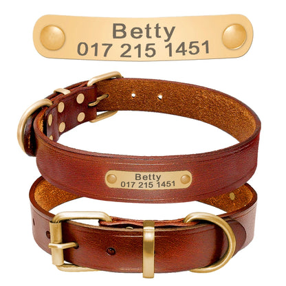 Custom Engraved Leather ID Collar for Small & Medium Pets