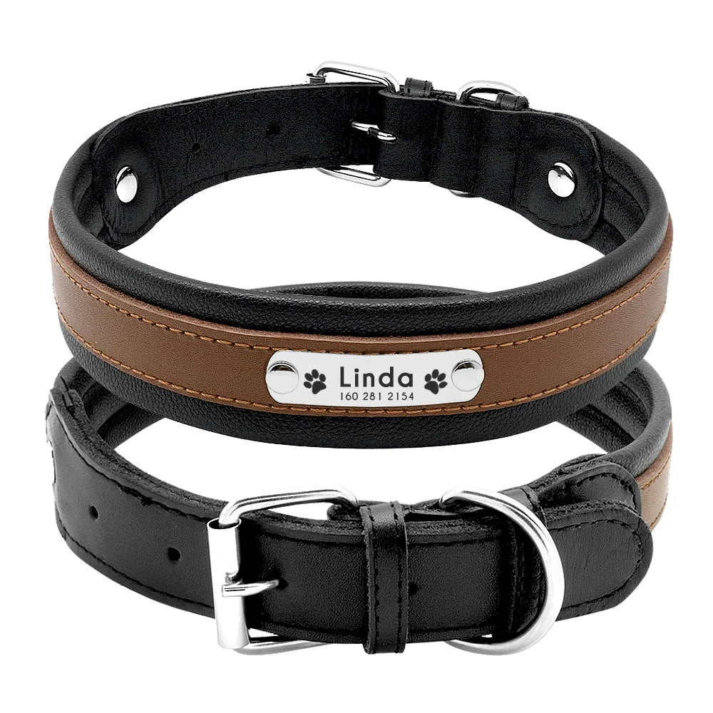 Personalized Padded Leather Collar for Medium & Large Dogs