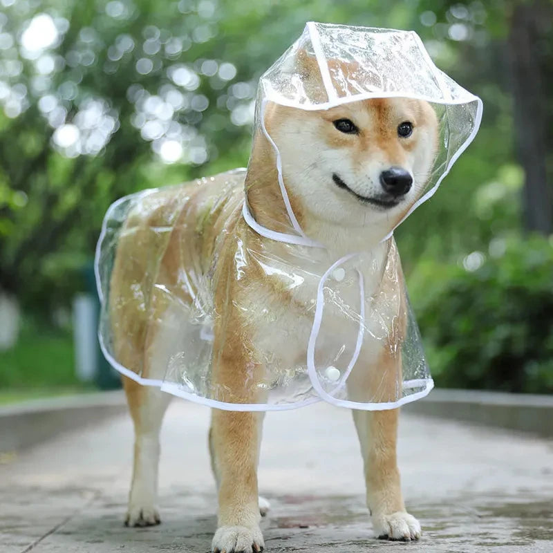 Transparent Dog Raincoat: Waterproof Hooded Jacket with Soft PVC for Small Dogs