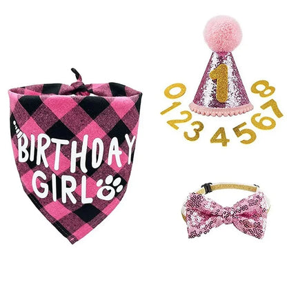 Pet Birthday Party Hat, Scarf & Bow Tie Set