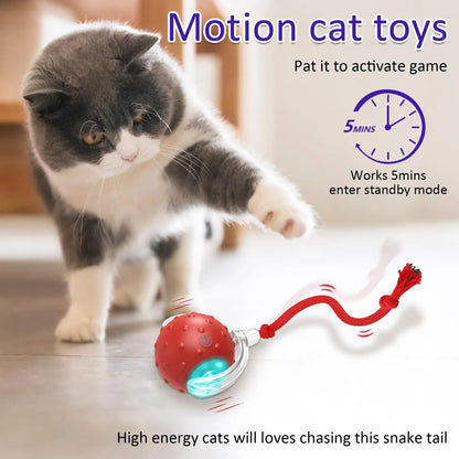 Chirping Rolling Ball Cat Toy with Motion Sensor - Interactive Playtime