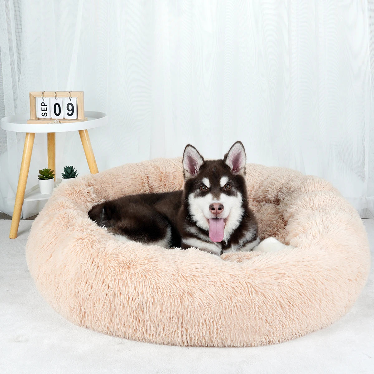 Plush Dog Bed: Washable Sofa Bed for Small, Medium & Large Dogs