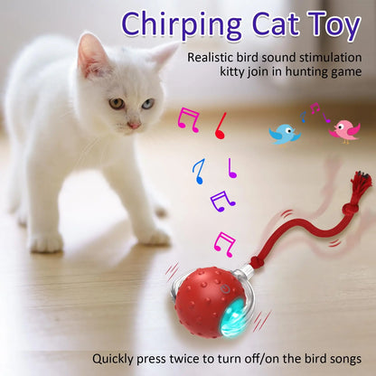 Chirping Rolling Ball Cat Toy with Motion Sensor - Interactive Playtime