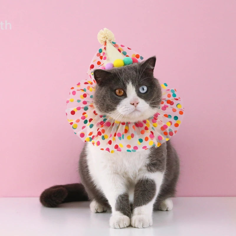 Candy Color Pet Birthday Hat & Bib Set - Cute Costume for Small & Medium Dogs