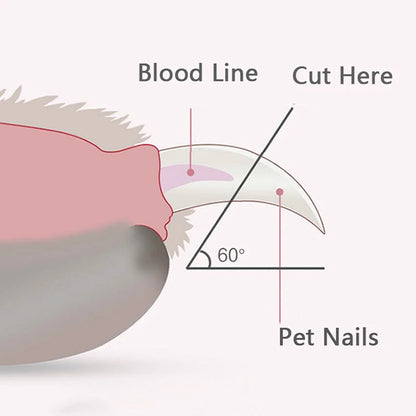 Professional Pet Nail Clippers with LED Light - Safe & Precise Trimming