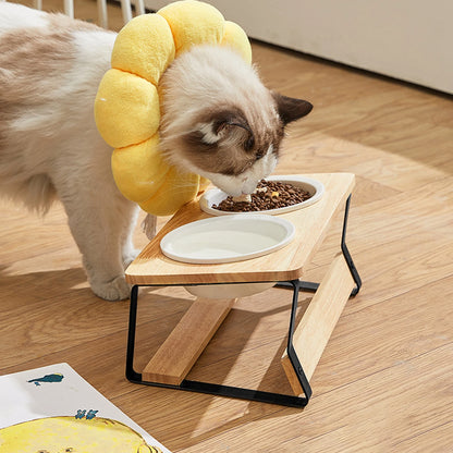 Elevated Cat Bowls with Bamboo Stand - Lightweight & Easy to Clean