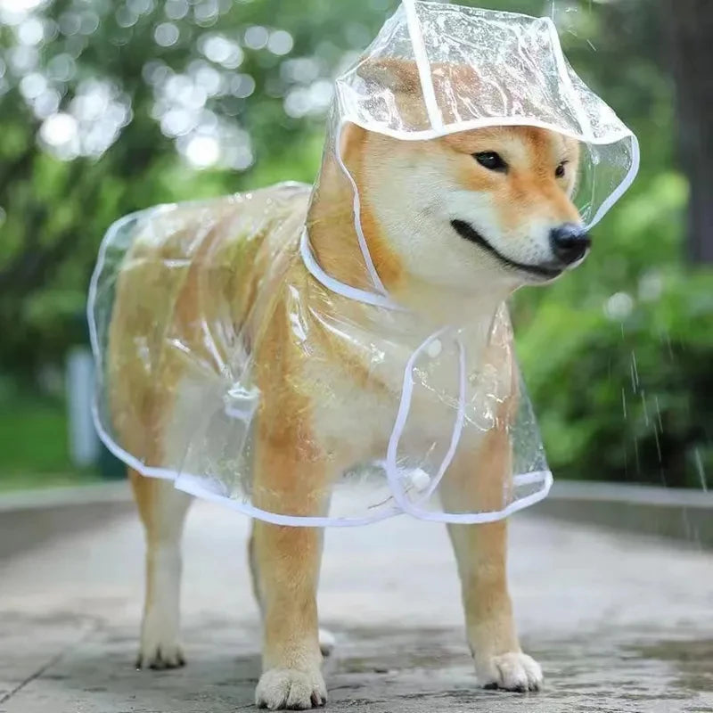 Transparent Dog Raincoat: Waterproof Hooded Jacket with Soft PVC for Small Dogs