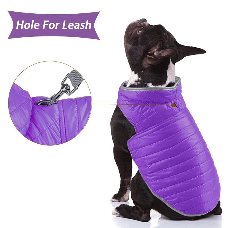 Reversible Waterproof Dog Jacket: Reflective Winter Coat for Small & Large Dogs