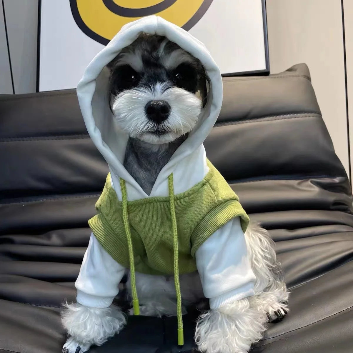 Hooded Dog Sweatshirt:  Warm Winter Coat for Small & Medium Dogs