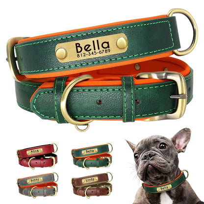 Personalized Padded Leather Dog Collar with Engraved ID