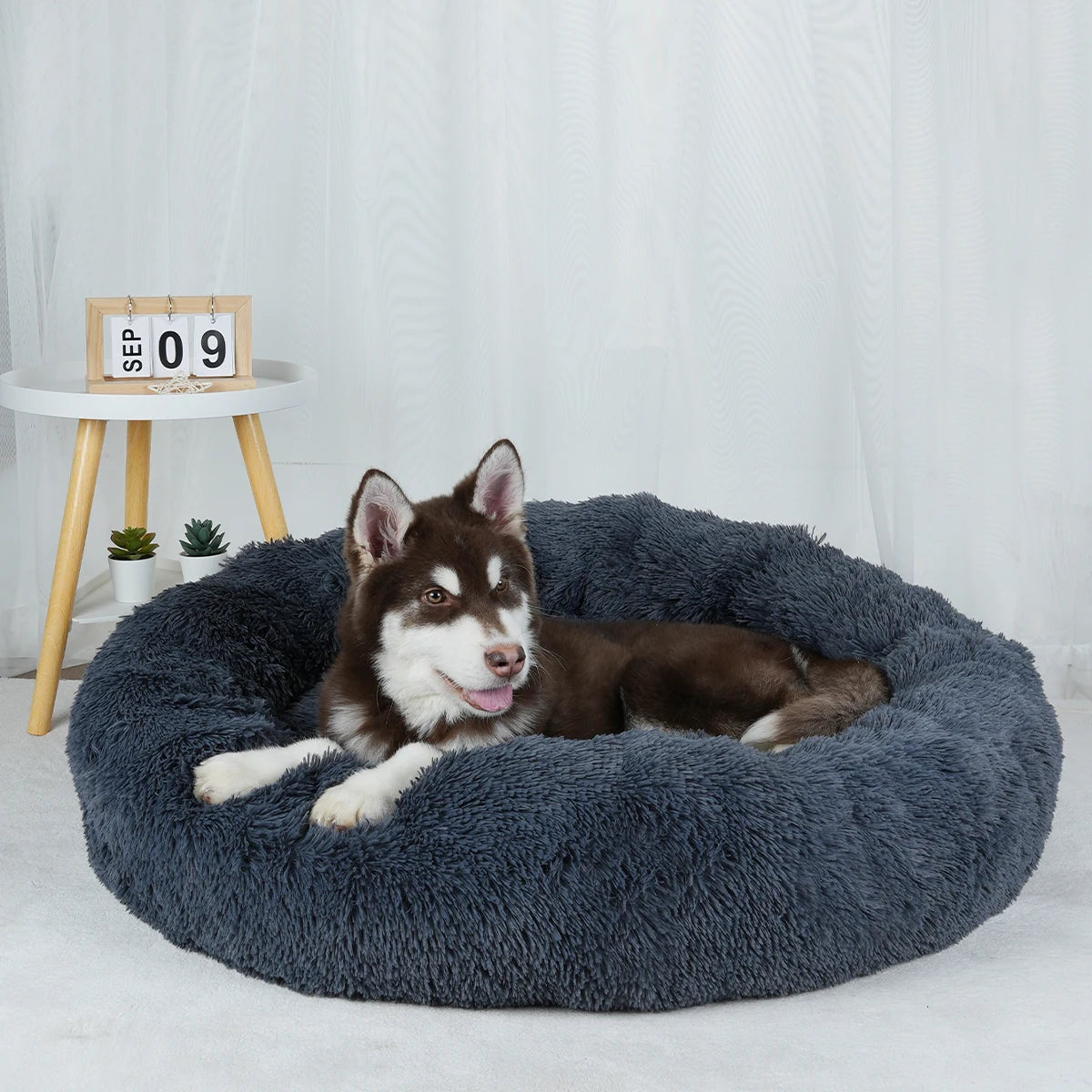 Plush Dog Bed: Washable Sofa Bed for Small, Medium & Large Dogs