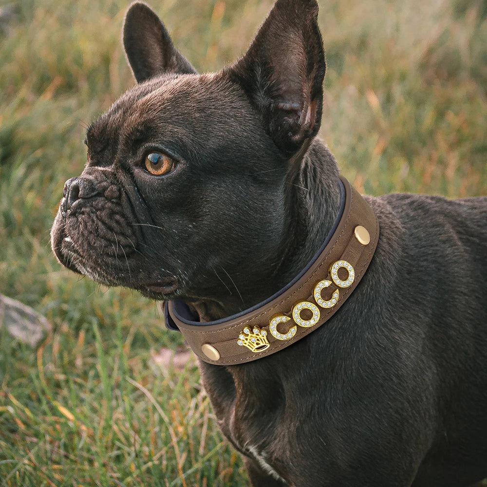 Custom Rhinestone Leather Dog Collar with Personalized Charm