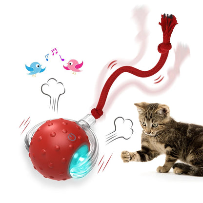 Chirping Rolling Ball Cat Toy with Motion Sensor - Interactive Playtime