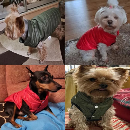 Warm Winter Dog Vest: Clothes for Chihuahuas, French Bulldogs, Yorkies & Small Dogs