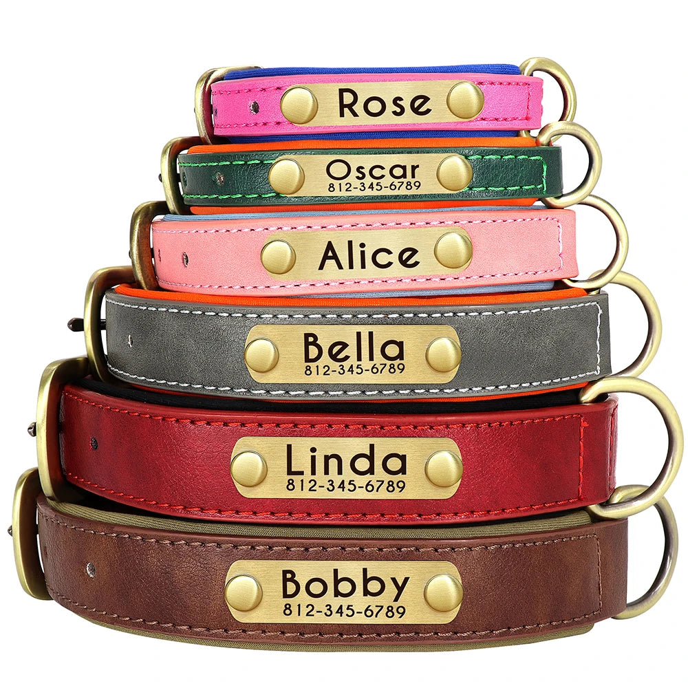 Personalized Padded Leather Dog Collar with Engraved ID