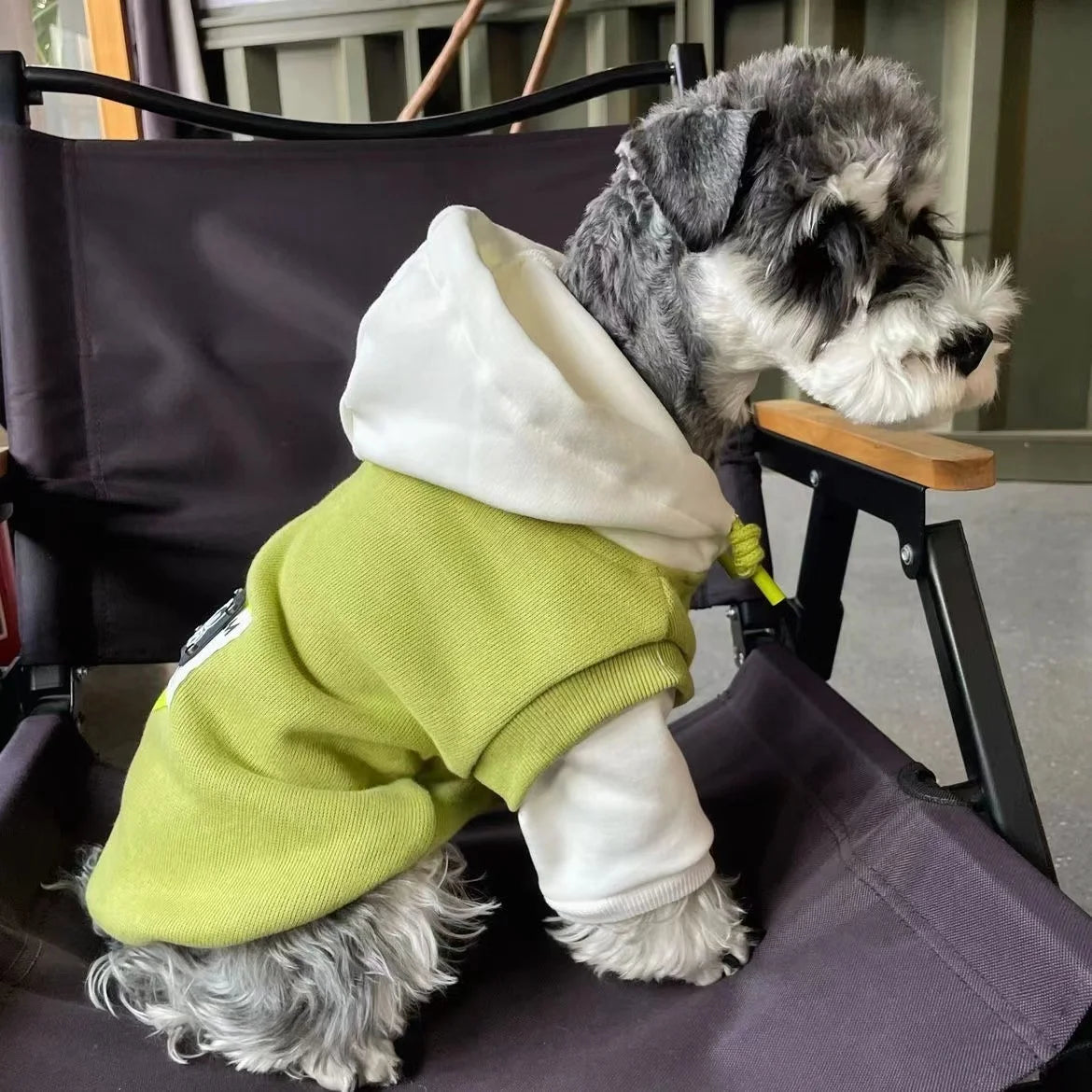 Hooded Dog Sweatshirt:  Warm Winter Coat for Small & Medium Dogs