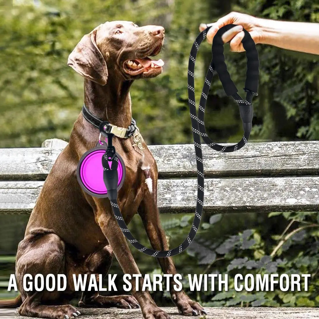 Strong & Reflective Dog Leash for Small, Medium & Large Dogs