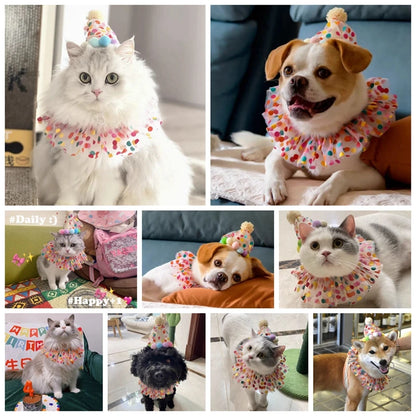 Candy Color Pet Birthday Hat & Bib Set - Cute Costume for Small & Medium Dogs