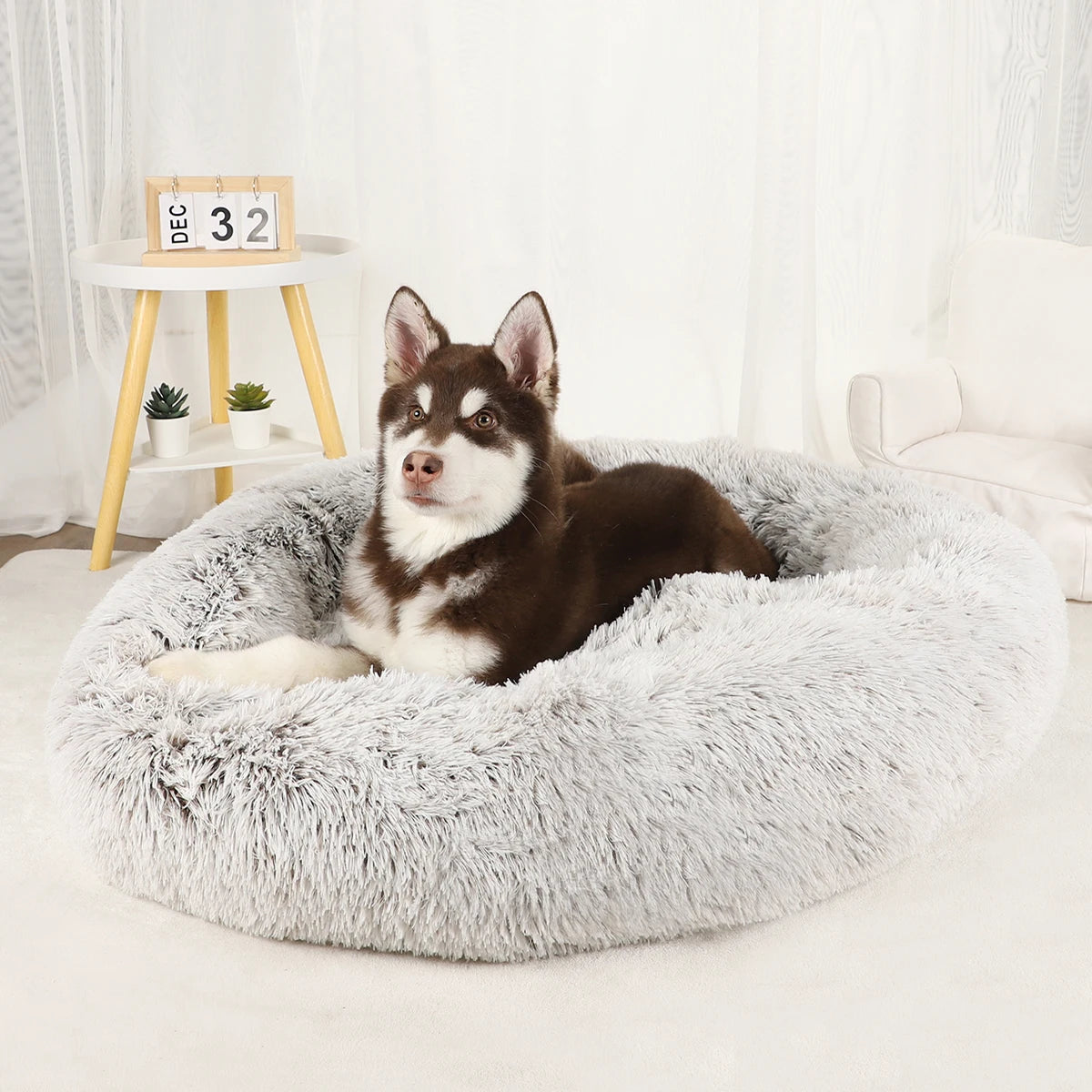 Plush Dog Bed: Washable Sofa Bed for Small, Medium & Large Dogs