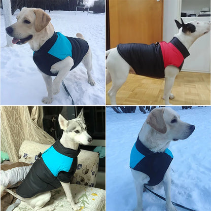 Warm Waterproof Dog Jacket: Winter Vest for Small, Medium & Large Dogs