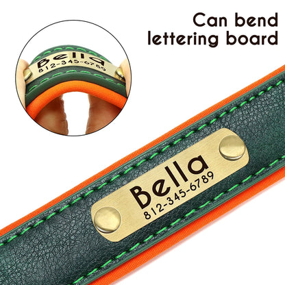 Personalized Padded Leather Dog Collar with Engraved ID